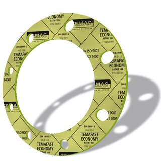 0005-T30071-1500-1000 Dichtungsplatte TEMAFAST Economy...